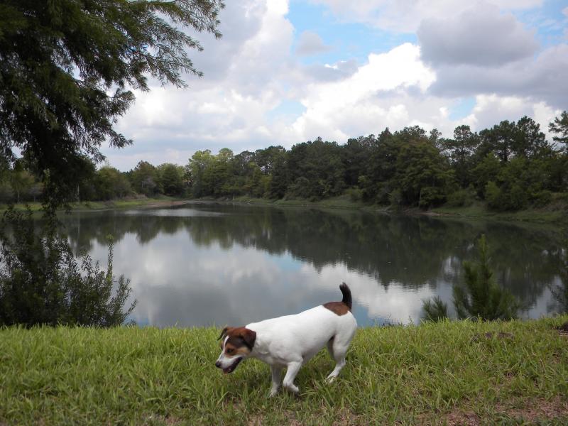 jewel playing by the lake